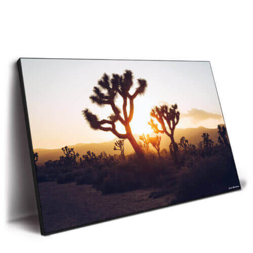 Desert Sunrise Wall Art by Jared Q. Gunderson
