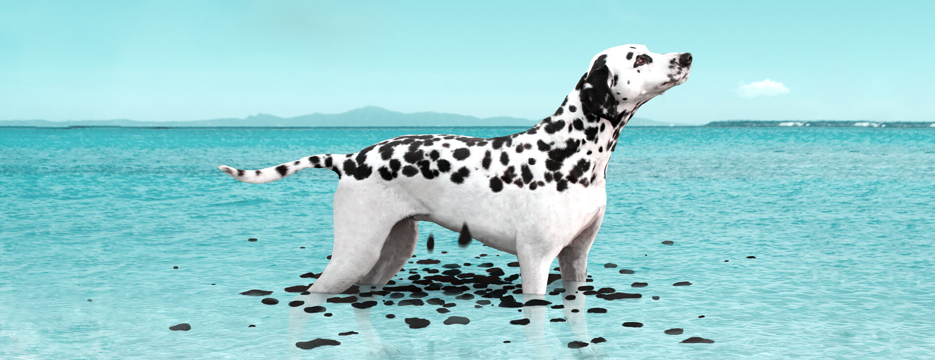 Julien Tabet Artwork - Large