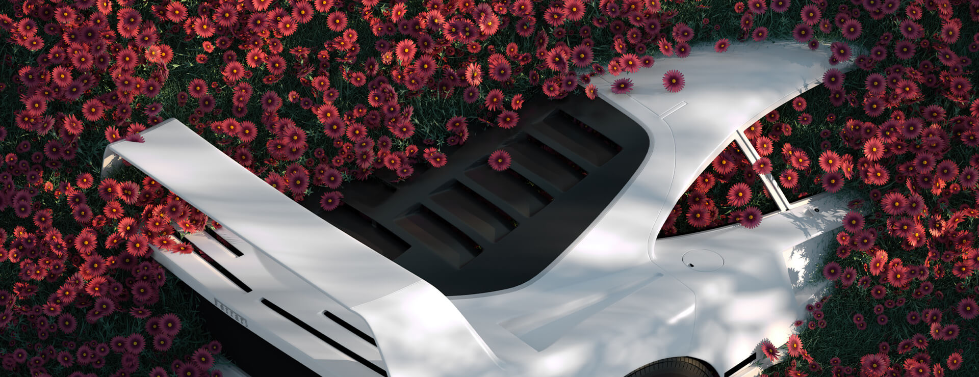 Konji Artwork - Large