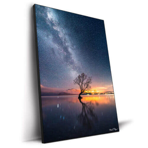 Wanaka Tree Milky Way Wall Art by Michael Meyers