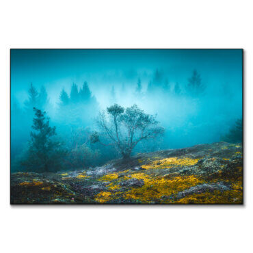 large artwork nature wall art blue
