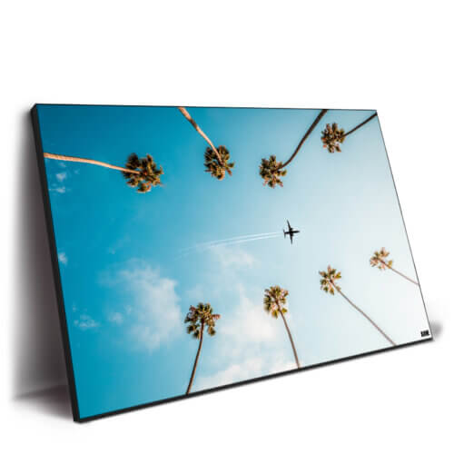 Palm Flight Wall Art by Kane C. Andrade