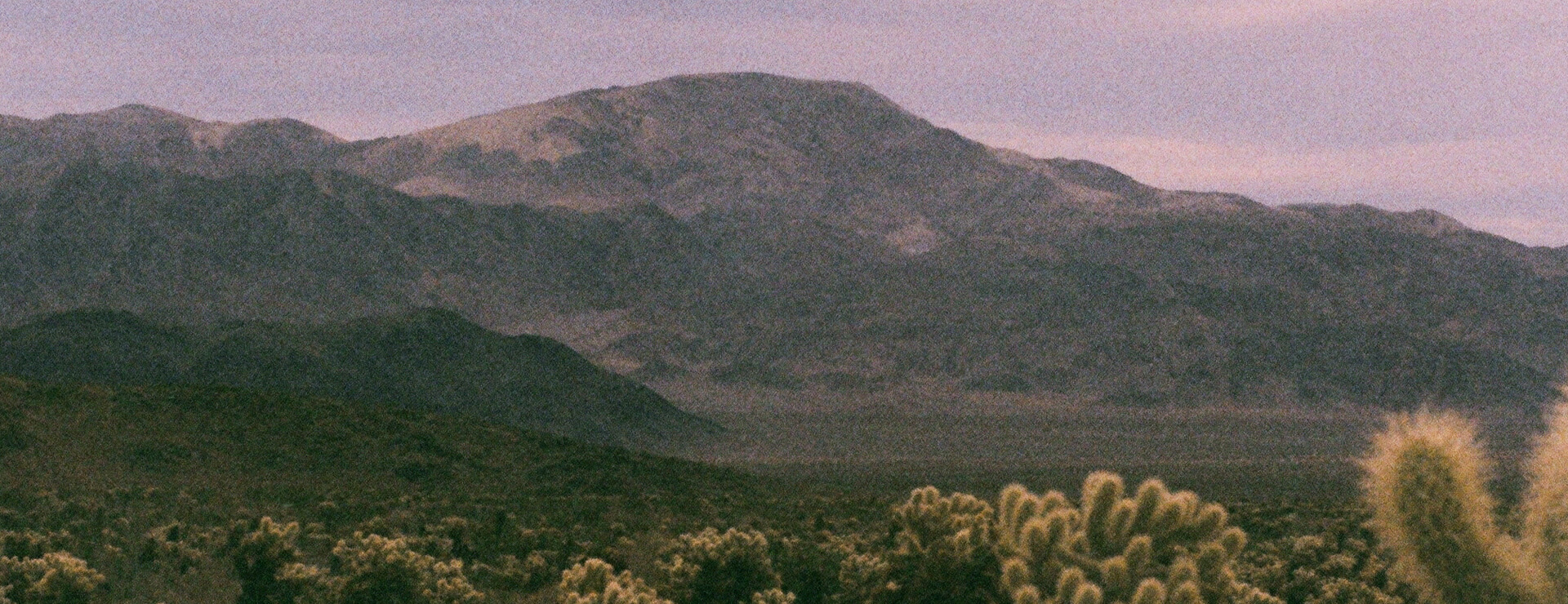 Zachary Snellenberger Artwork - Large