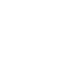 ART OF SPANJER