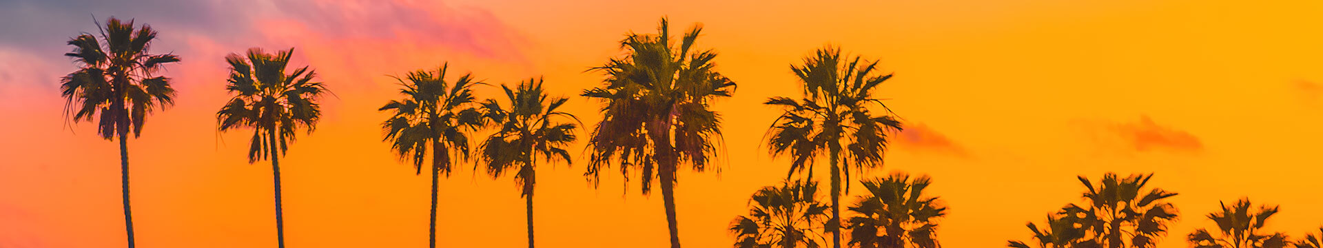Large zoomed in photograph of a California Sunset