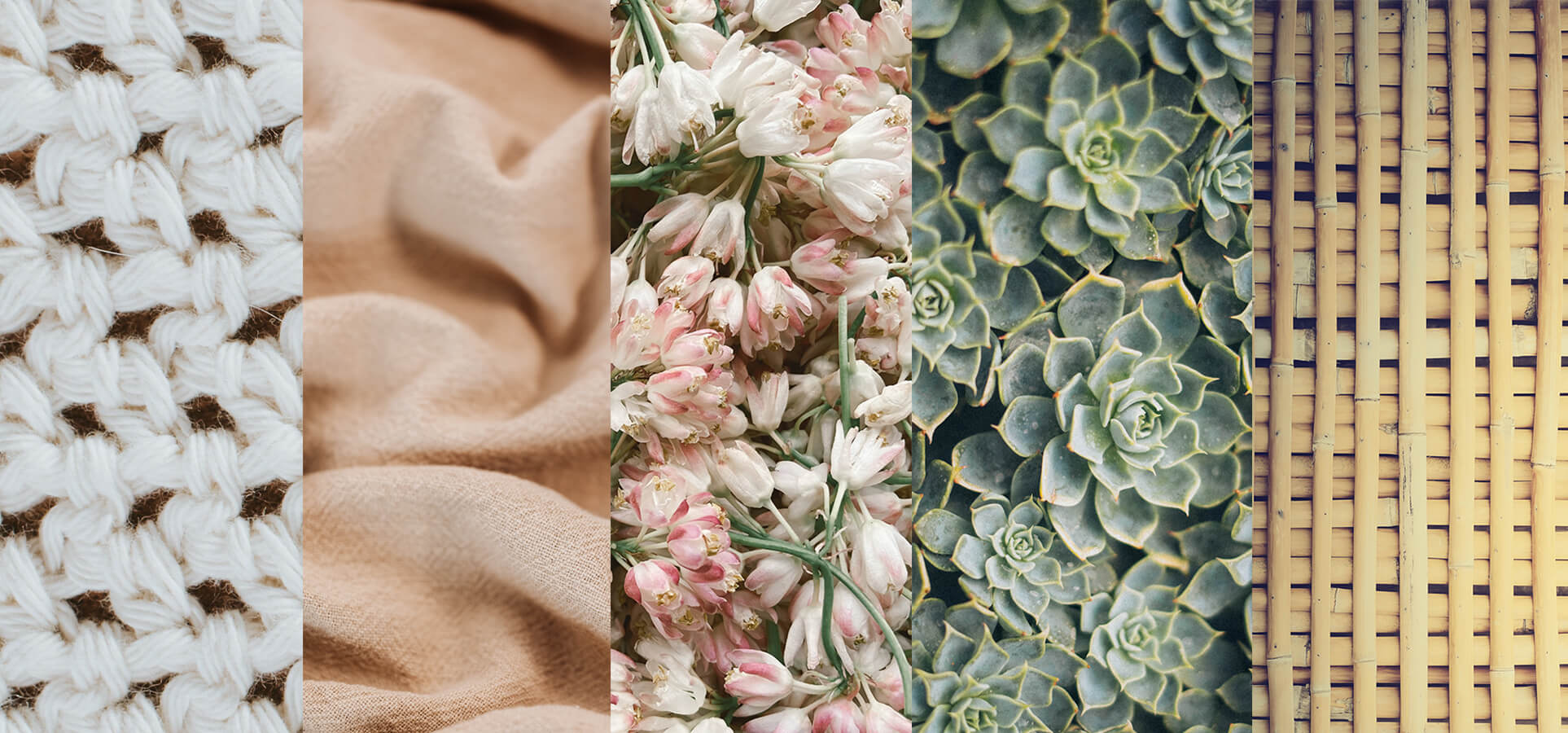 Boho decor textures close up featuring florals, rattan, succulents