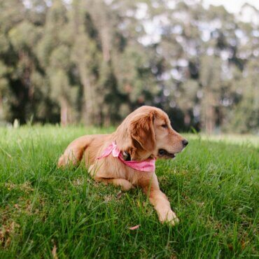 Your memories, always.