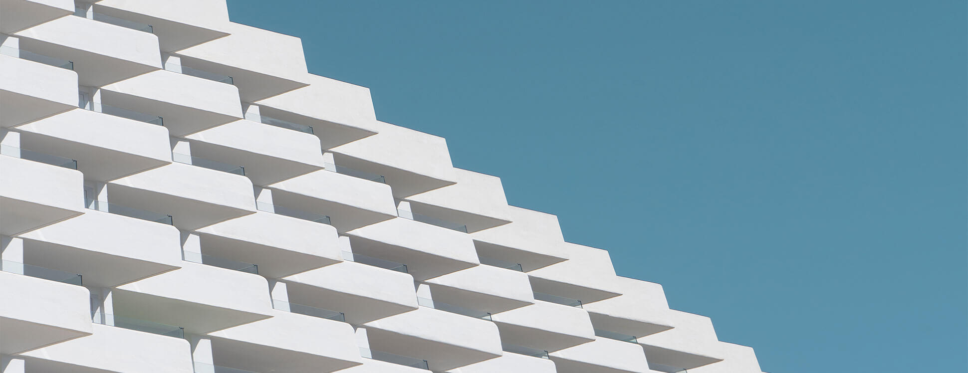 Yamakasino Artwork - Large