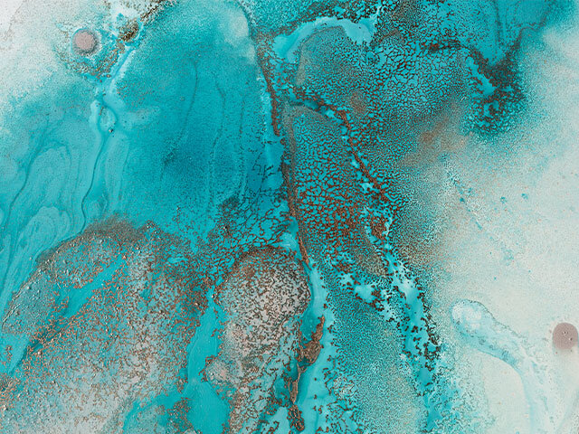 Petra Meikle de Vlas Artwork - Small