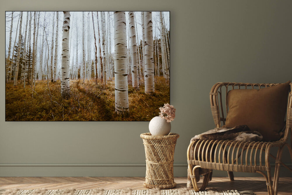 Oversized autumn art of birch tree forest in fall hung in modern boho living room styled for fall