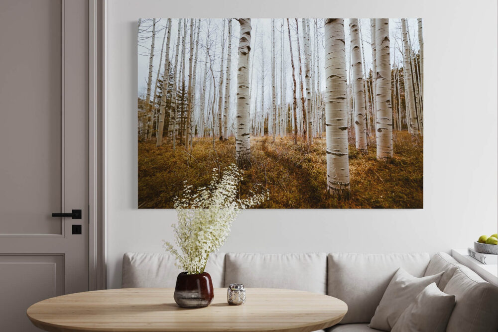 Fall landscape photography of birch trees hung above breakfast nook in gray dining room