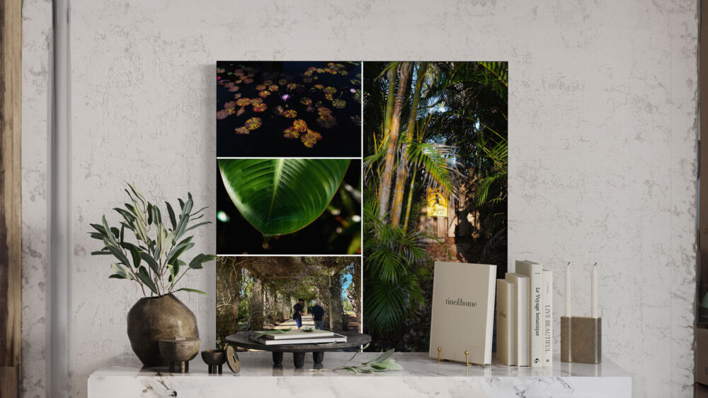 From Camera Roll to Wall-Worthy Art