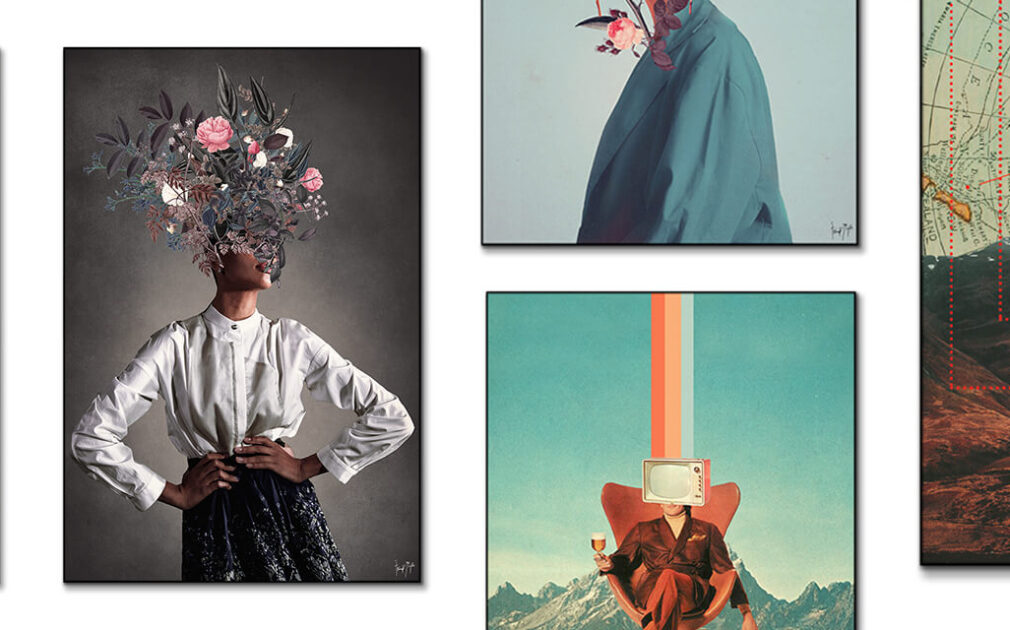 Frank Moth Wall Art Prints For Wall Decor