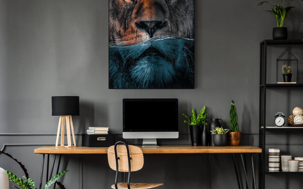 Large lion photo showing lion's face halfway underwater hangs on grey wall in home office.