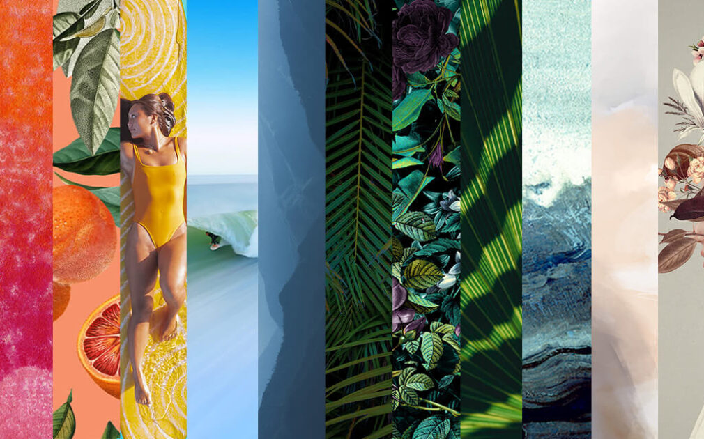 Color Scale for Summer Color Paint Trends 2023