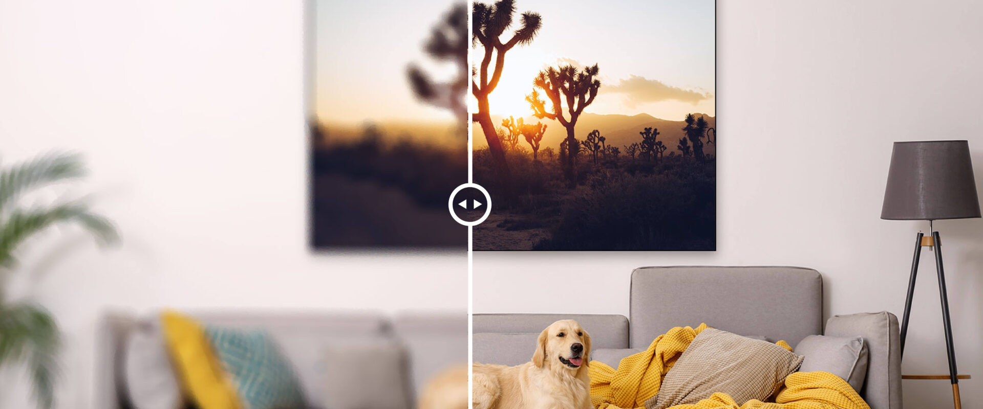 Large Nature photography wall art in modern room hangs above a grey couch which seats a golden retriever