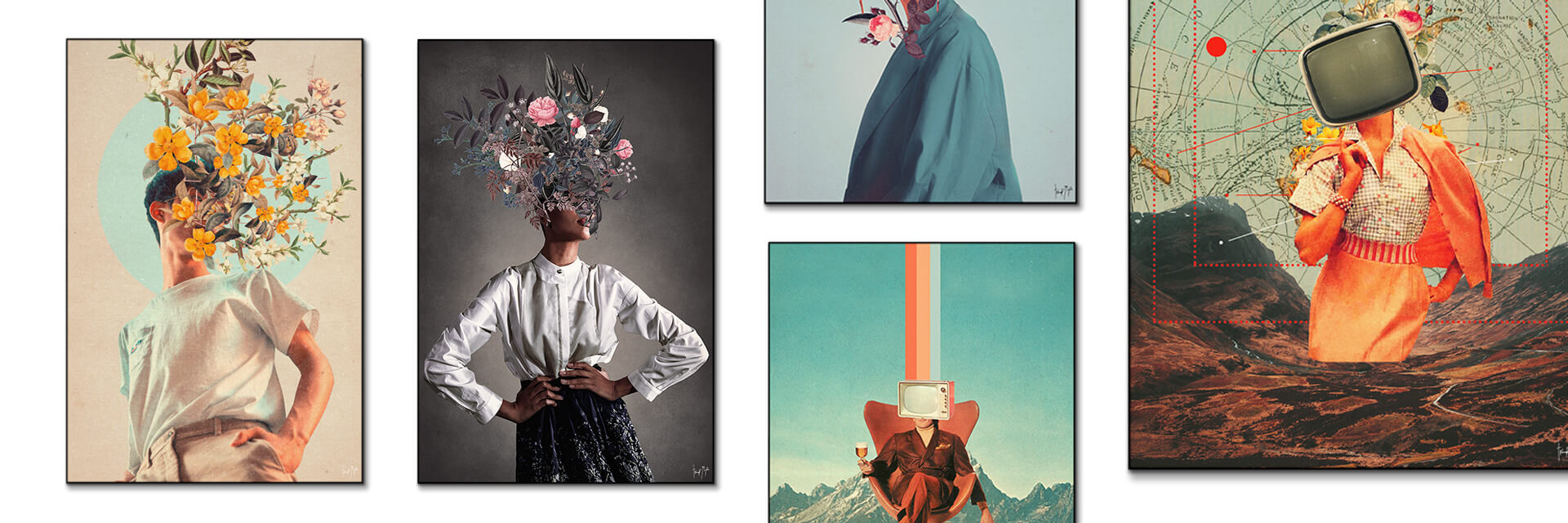 Frank Moth Wall Art Prints For Wall Decor