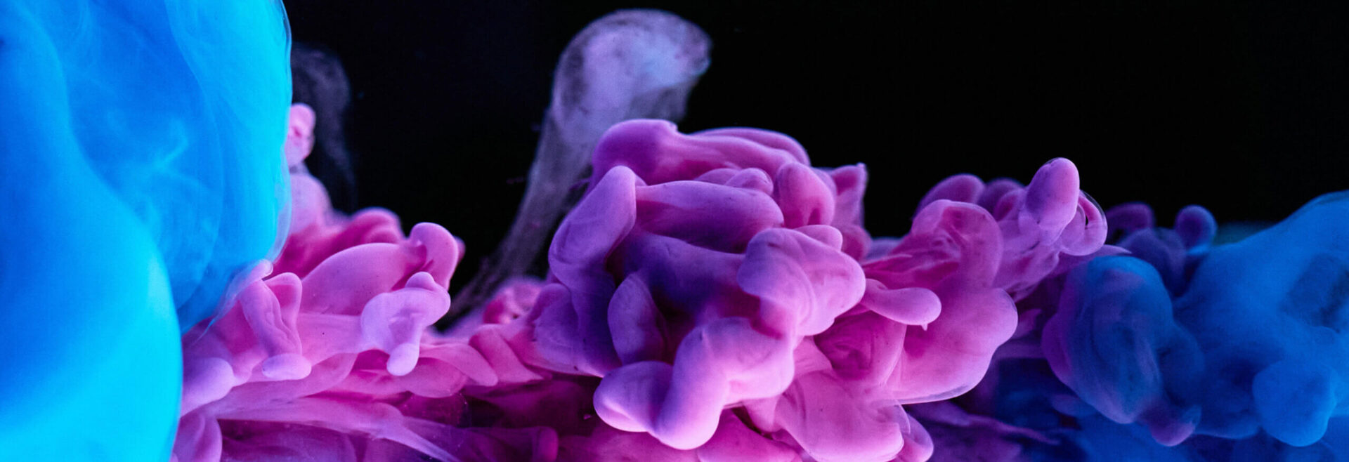 Purple Desktop Background