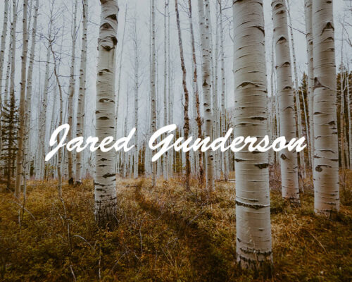 Birch tree forest in the fall with Jared Gunderson signature in white