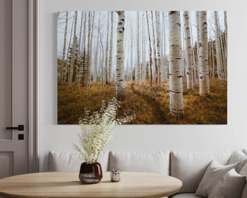 Fall landscape photography of birch trees hung above breakfast nook in gray dining room