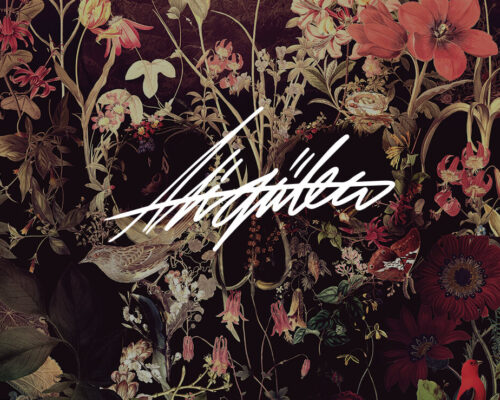 Surreal skull art in dark moody colors with Ali Gulec signature in white