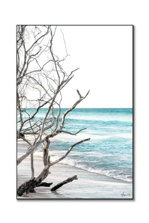 Coastal art print of driftwood and branches along a blue beach, shown on a white background.