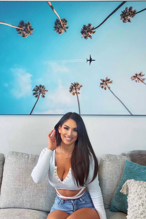 Oversized Palm Tree Artwork Hung on Wall