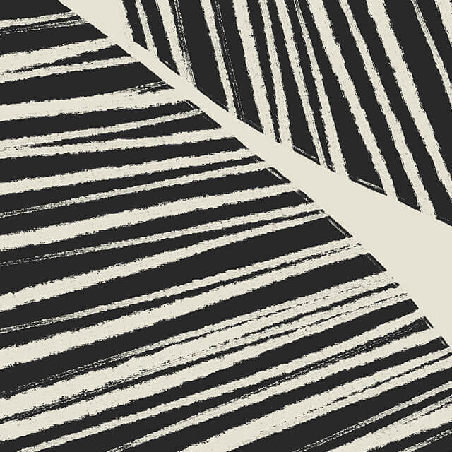 Close up image of digital painting of black stripes on a white background. This abstract piece could be a simple, organized interpretation of zebra stripes or representative of veins on large tropical palm leaves.