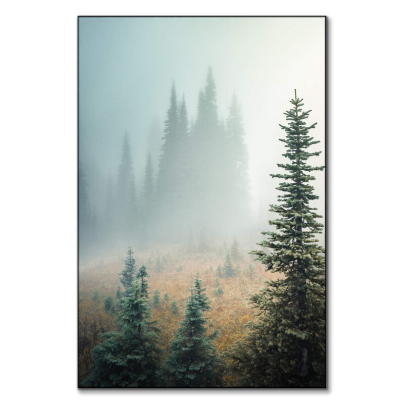 Misty Woods Green Wall Art by Paige Tingey