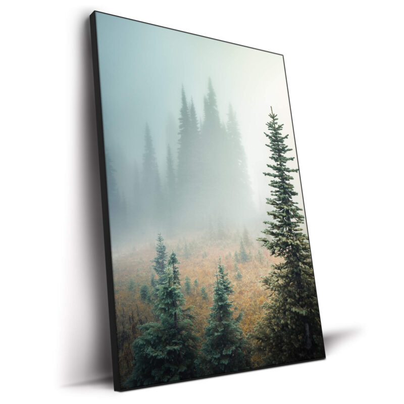 Misty Woods Green Wall Decor by Paige Tingey