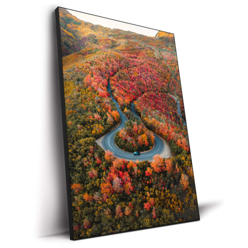 Autumn Road Warm Wall Decor by Paige Tingey