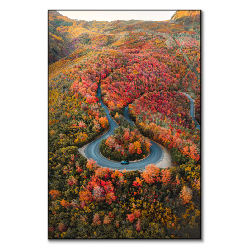 Autumn Road Warm Wall Art by Paige Tingey