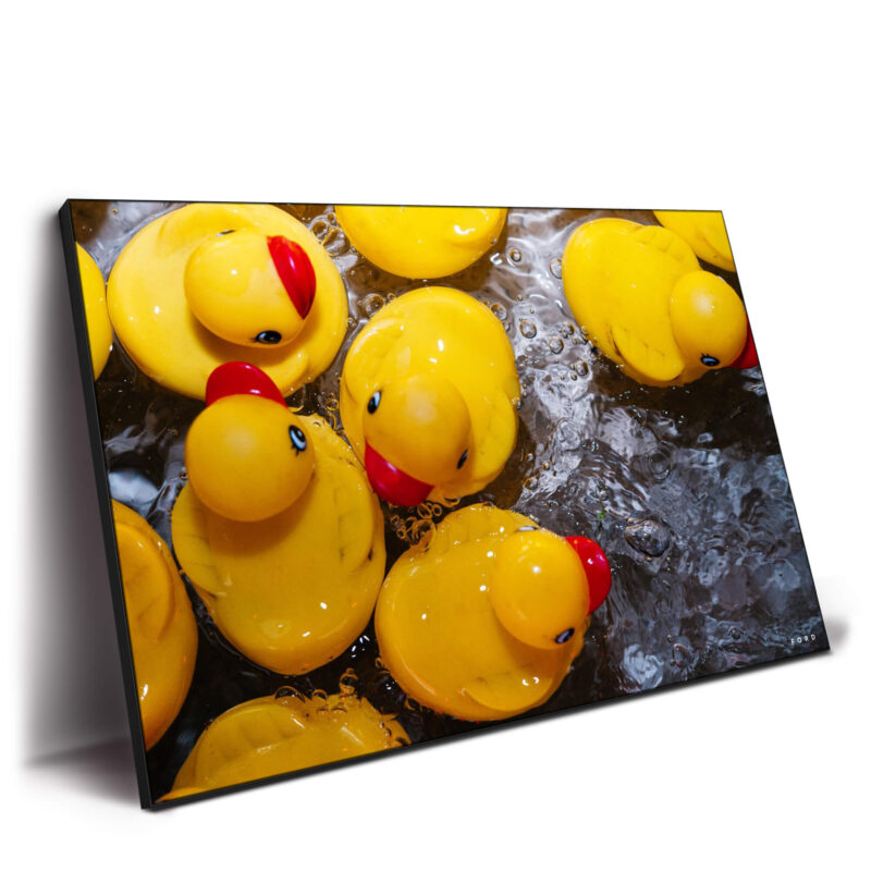 You're the One Yellow Wall Decor by Nick Ford