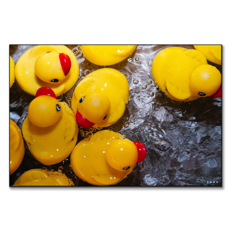 You're the One Yellow Wall Art by Nick Ford