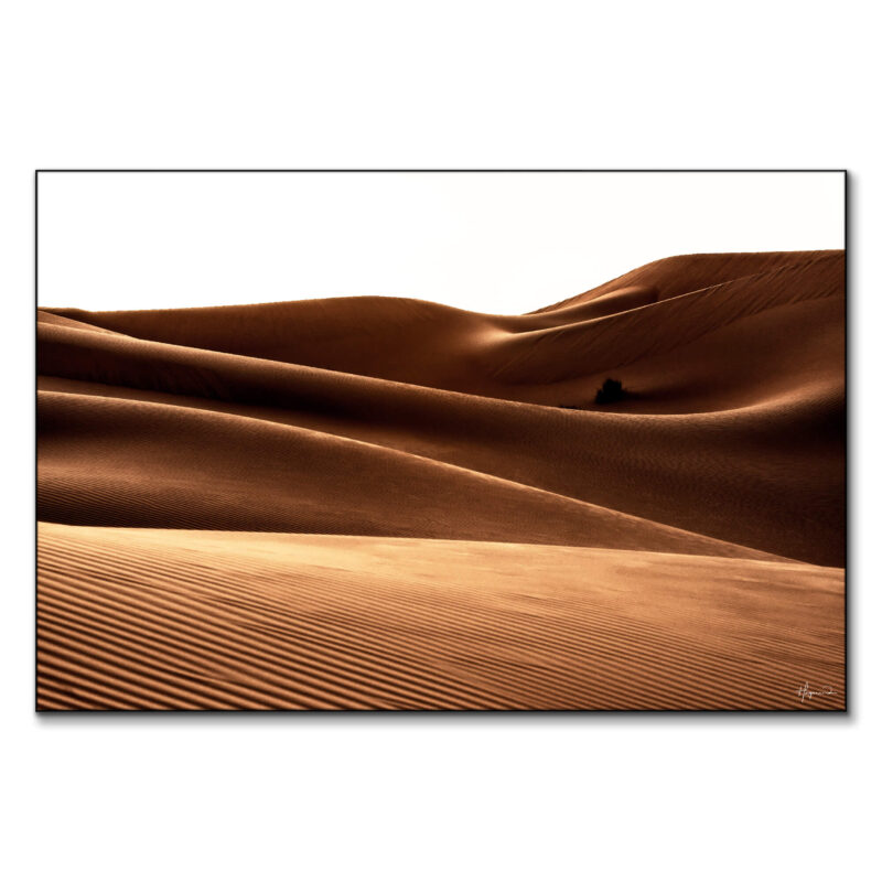 The Waves Brown Wall Art by Philippe HUGONNARD