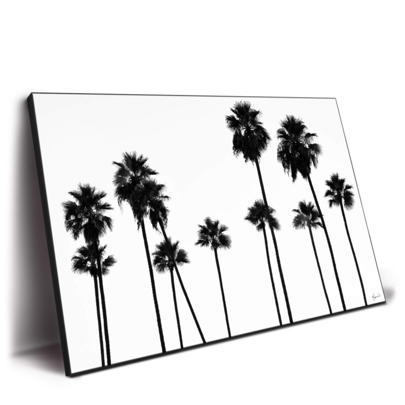 Palm Trees LA Black and White Wall Decor by Philippe HUGONNARD