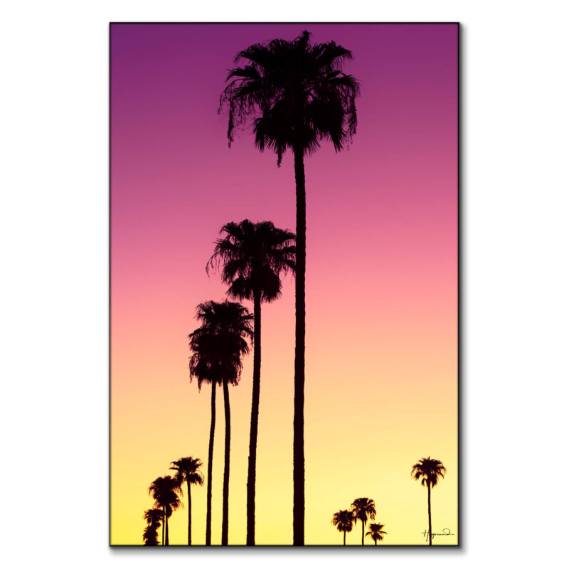 Sunset Palm Trees Vibrant Wall Art by Philippe HUGONNARD