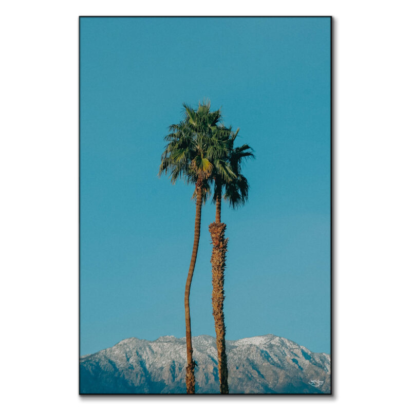 Oasis Blue Wall Art by Zachary Snellenberger