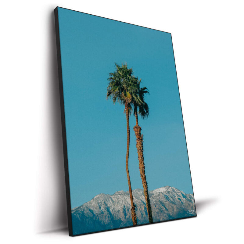 Oasis Blue Wall Decor by Zachary Snellenberger