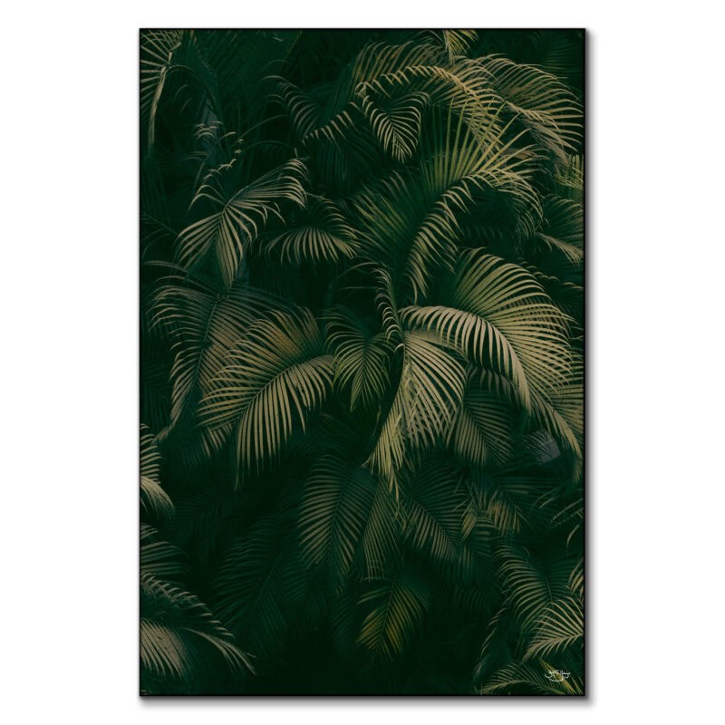 Palm Forest Green Wall Art by Zachary Snellenberger