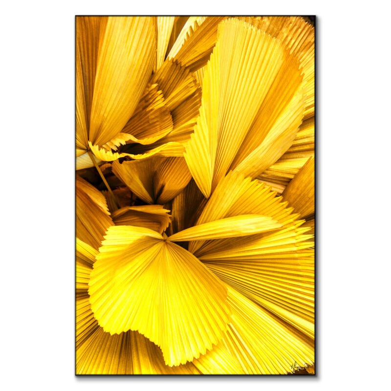 Yellow Palm Leaves Yellow Wall Art by Philippe HUGONNARD