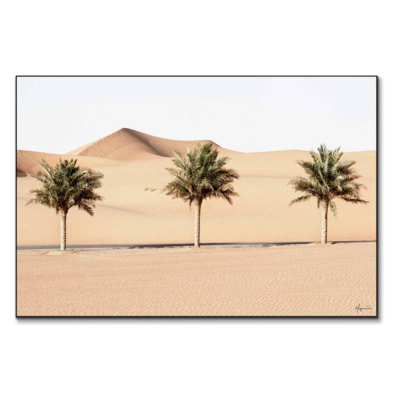 Desert Palm Trees Wall Art by Philippe HUGONNARD