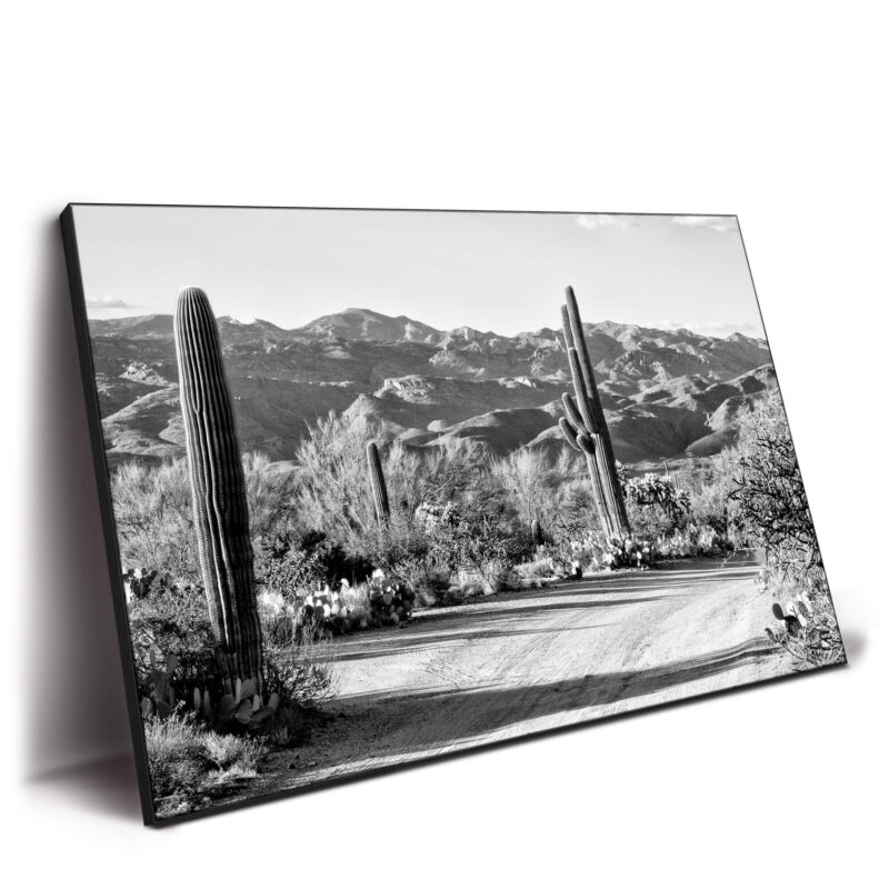 Cactus on the Way Black and White Wall Decor by Philippe HUGONNARD