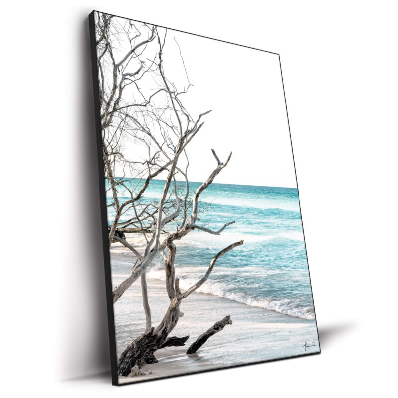 The Wild Beach Wall Decor by Philippe HUGONNARD