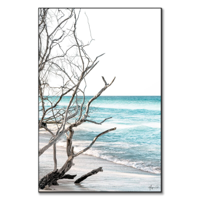 The Wild Beach Wall Art by Philippe HUGONNARD