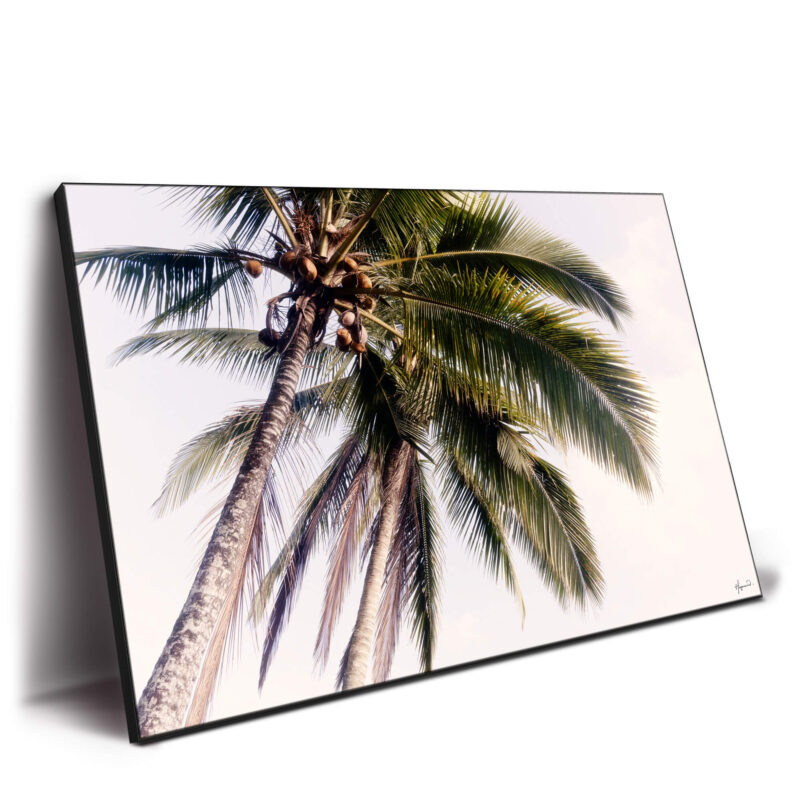 Tropical Palm Trees Wall Decor by Philippe HUGONNARD