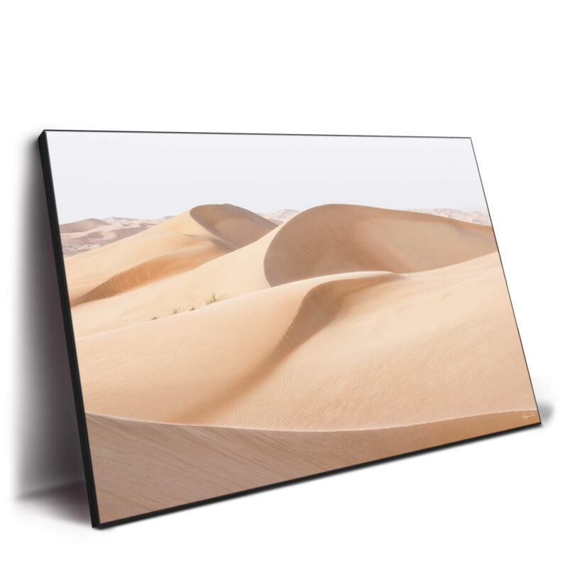 Sand Skin Wall Decor by Philippe HUGONNARD