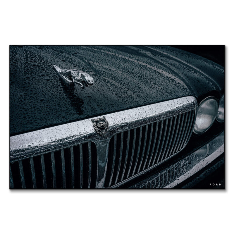 Mick Jaguar Dark Wall Art by Nick Ford