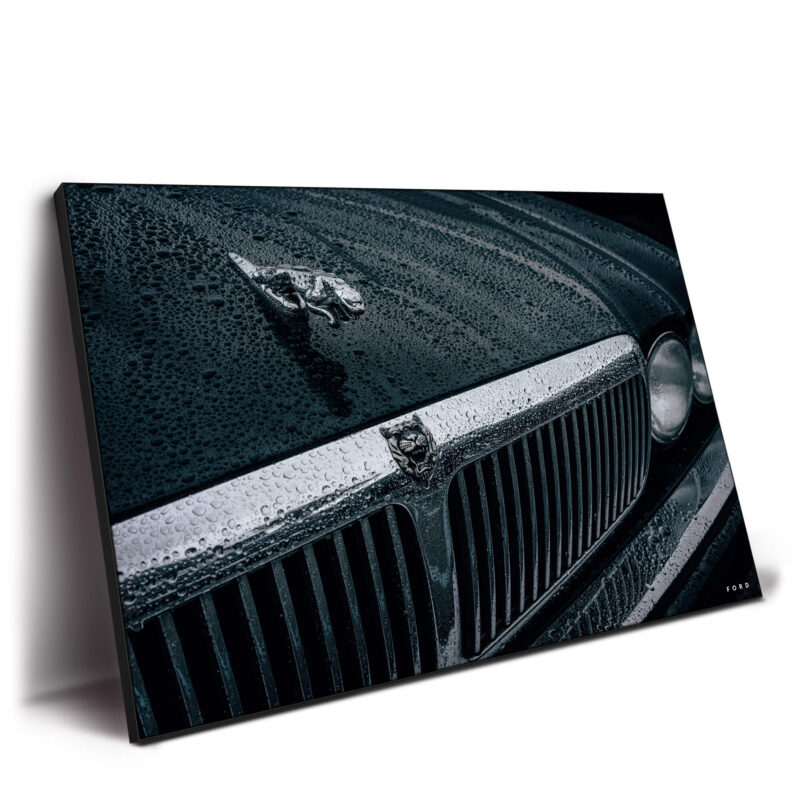 Mick Jaguar Dark Wall Decor by Nick Ford