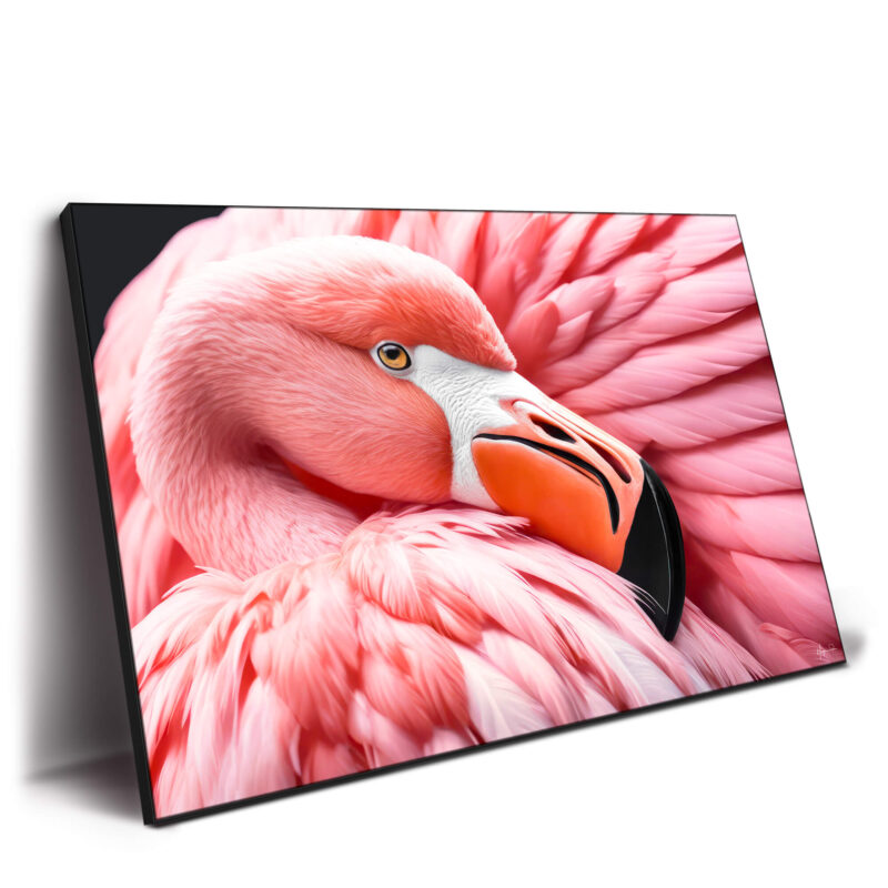 Between the Pink Wings Vibrant Wall Decor by Philippe HUGONNARD